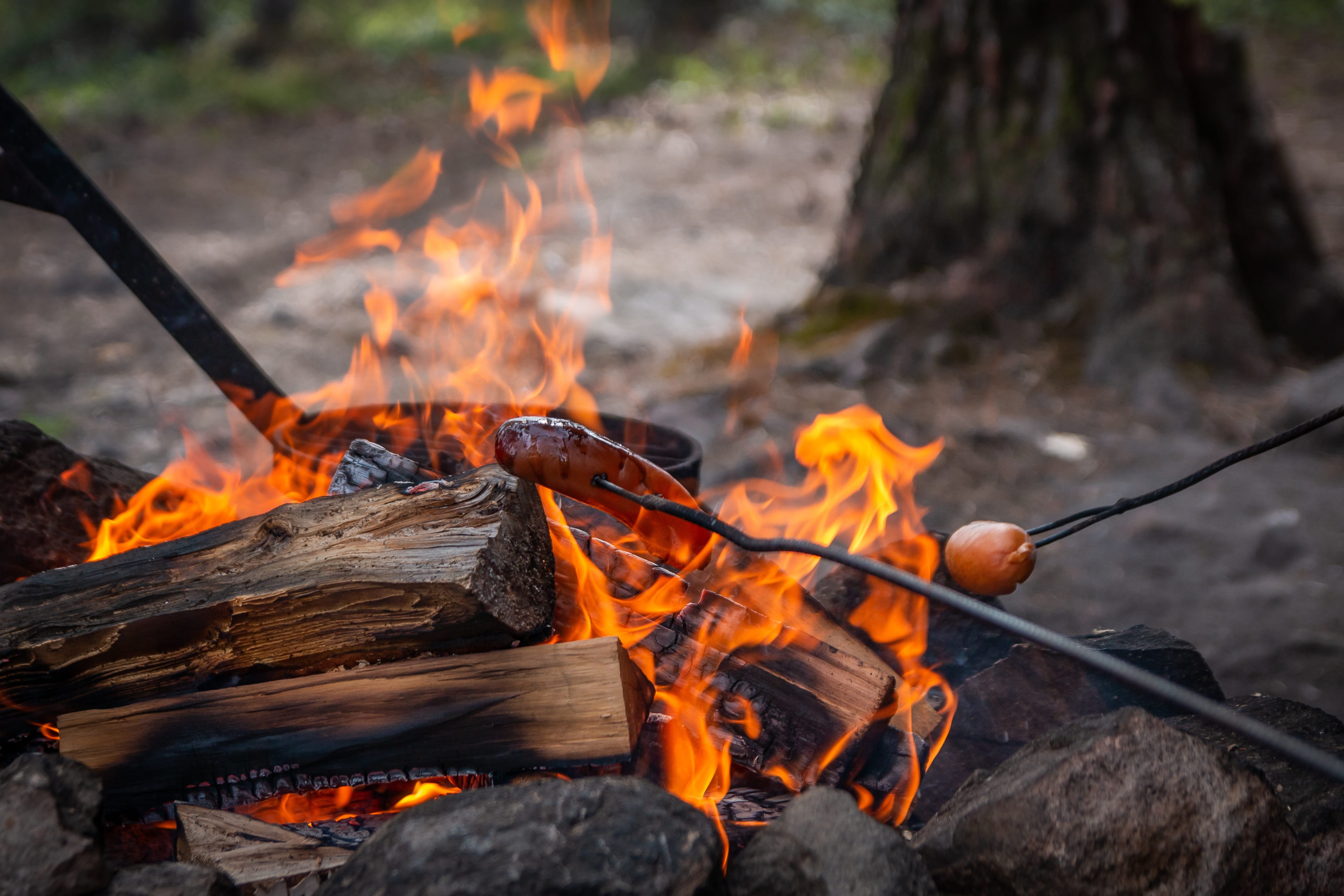 Sausages cooking over an open campfire in the forest, part of everyday summer life in Lapland