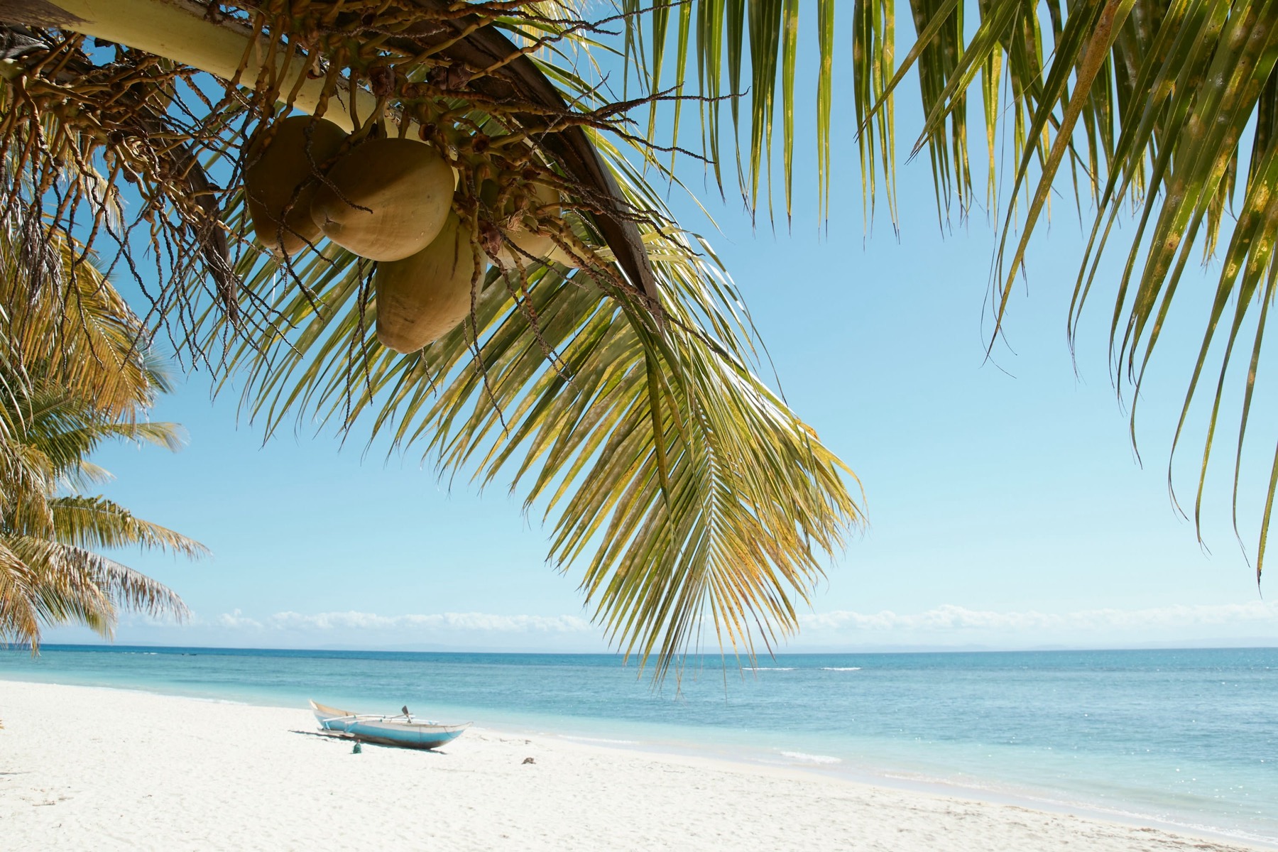 An empty palm-fringed beach on a remote island in Madagascar