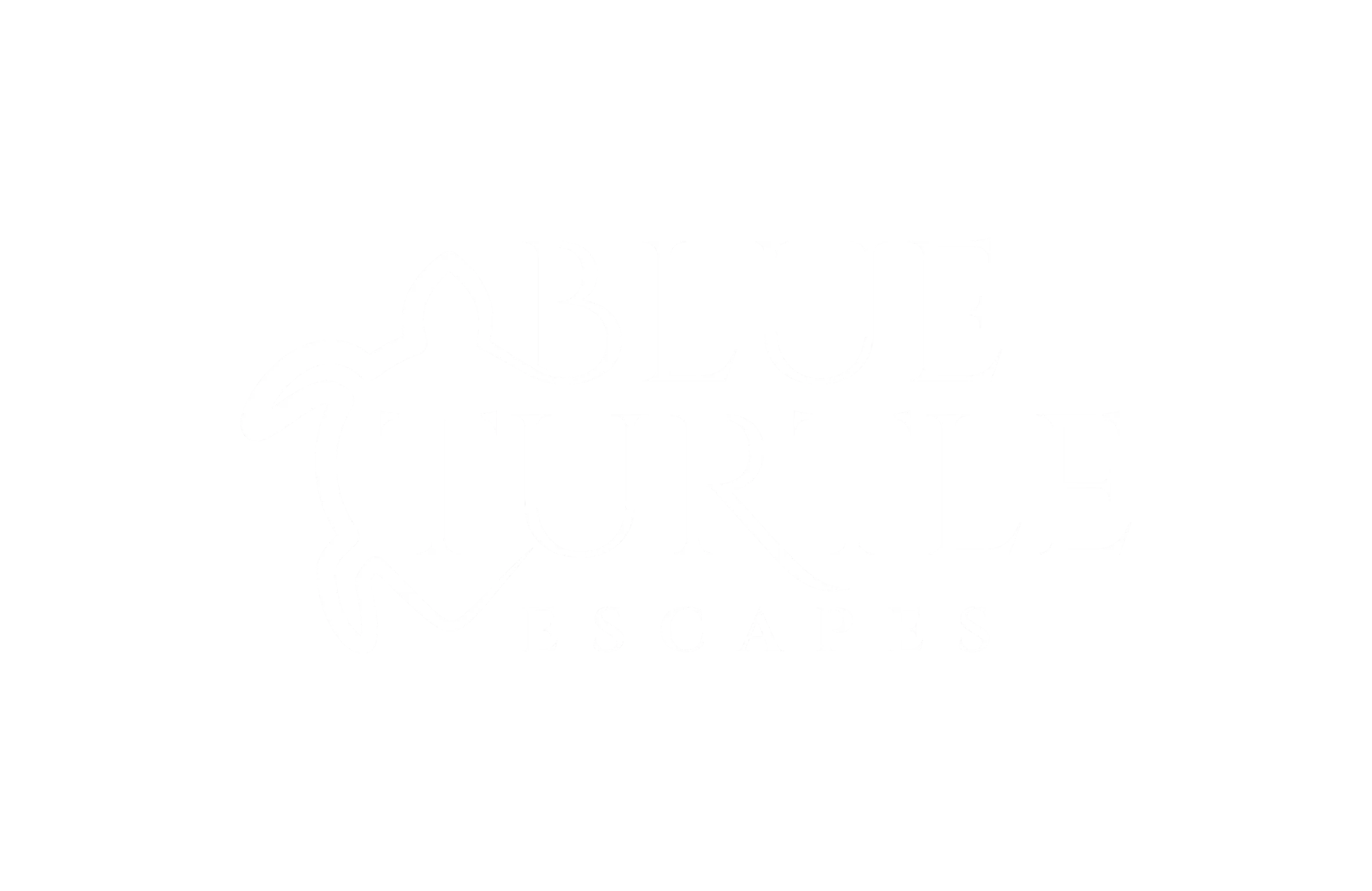Blue Turtle Escapes