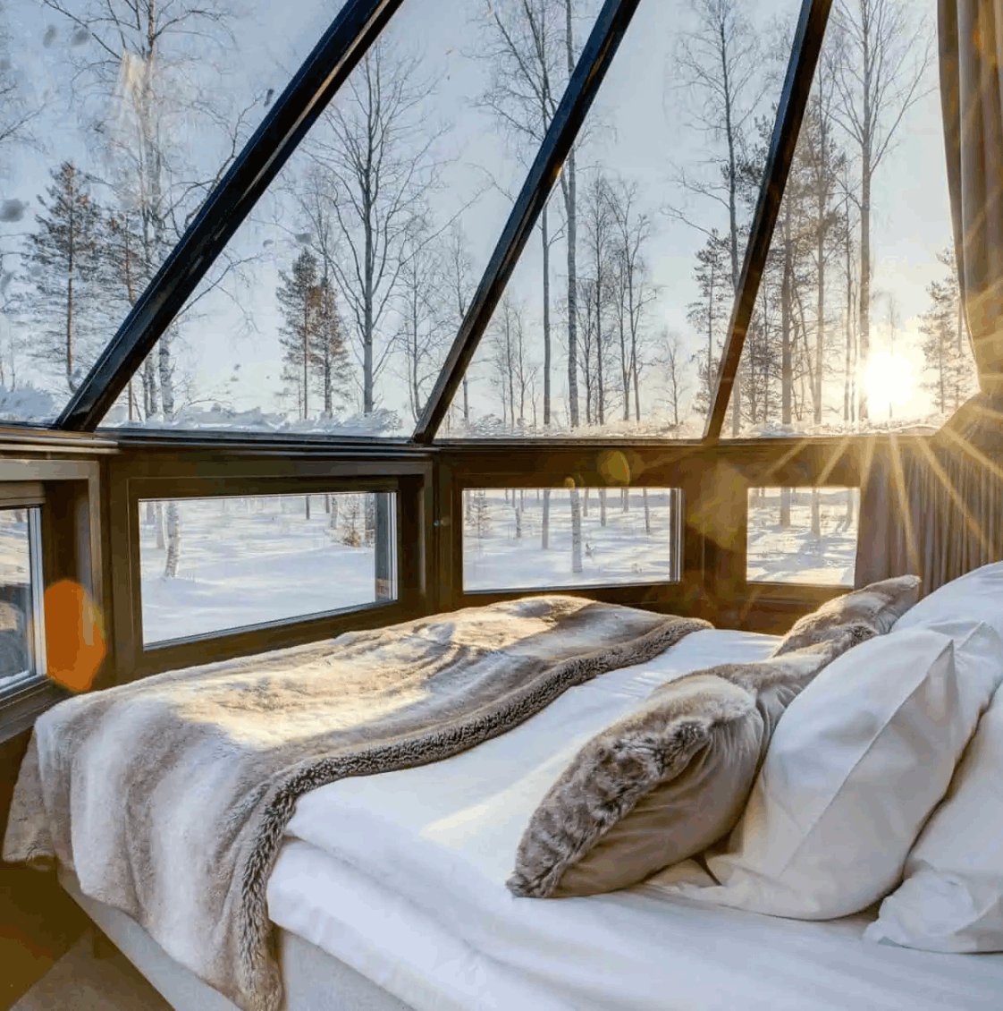 A glass-roofed cabin at Apukka Resort near Rovaniemi
