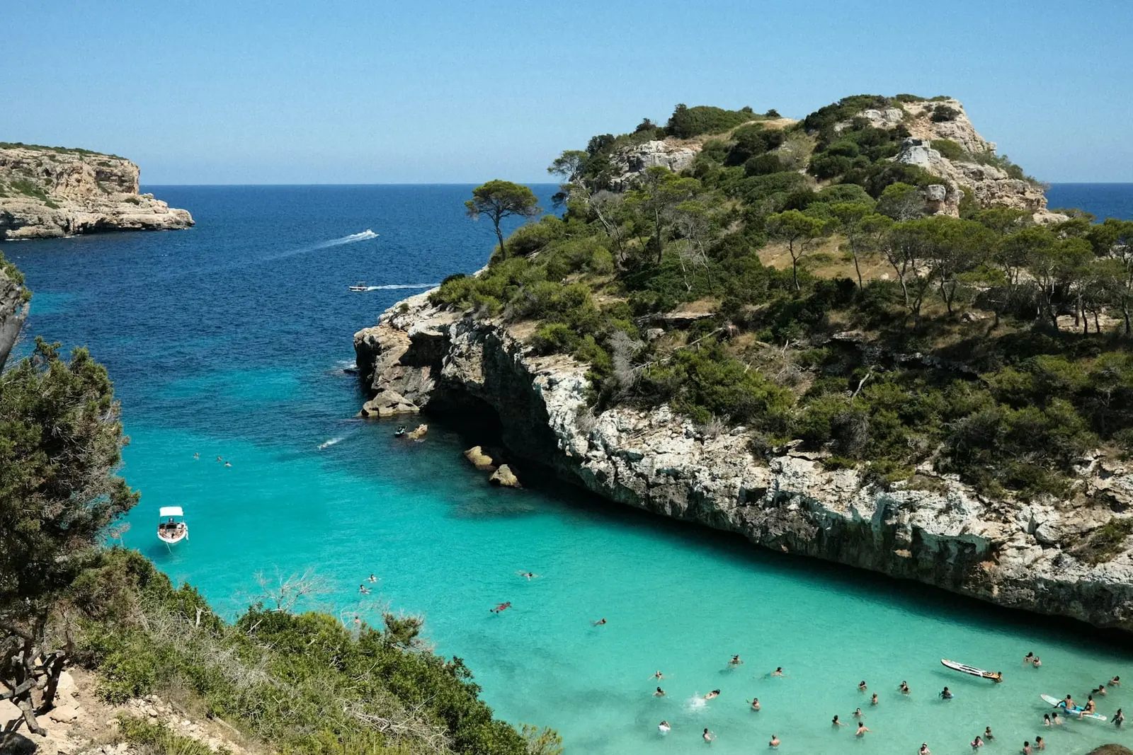 A turquoise cliff-backed cove with swimmers and a lone pine in the Balearic Islands, Spain