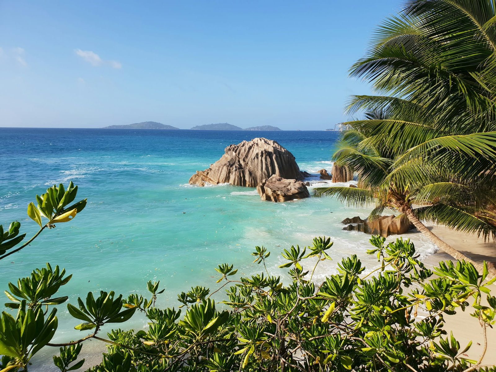 A sculpted granite boulder in turquoise water off a palm-fringed beach on La Digue, Seychelles