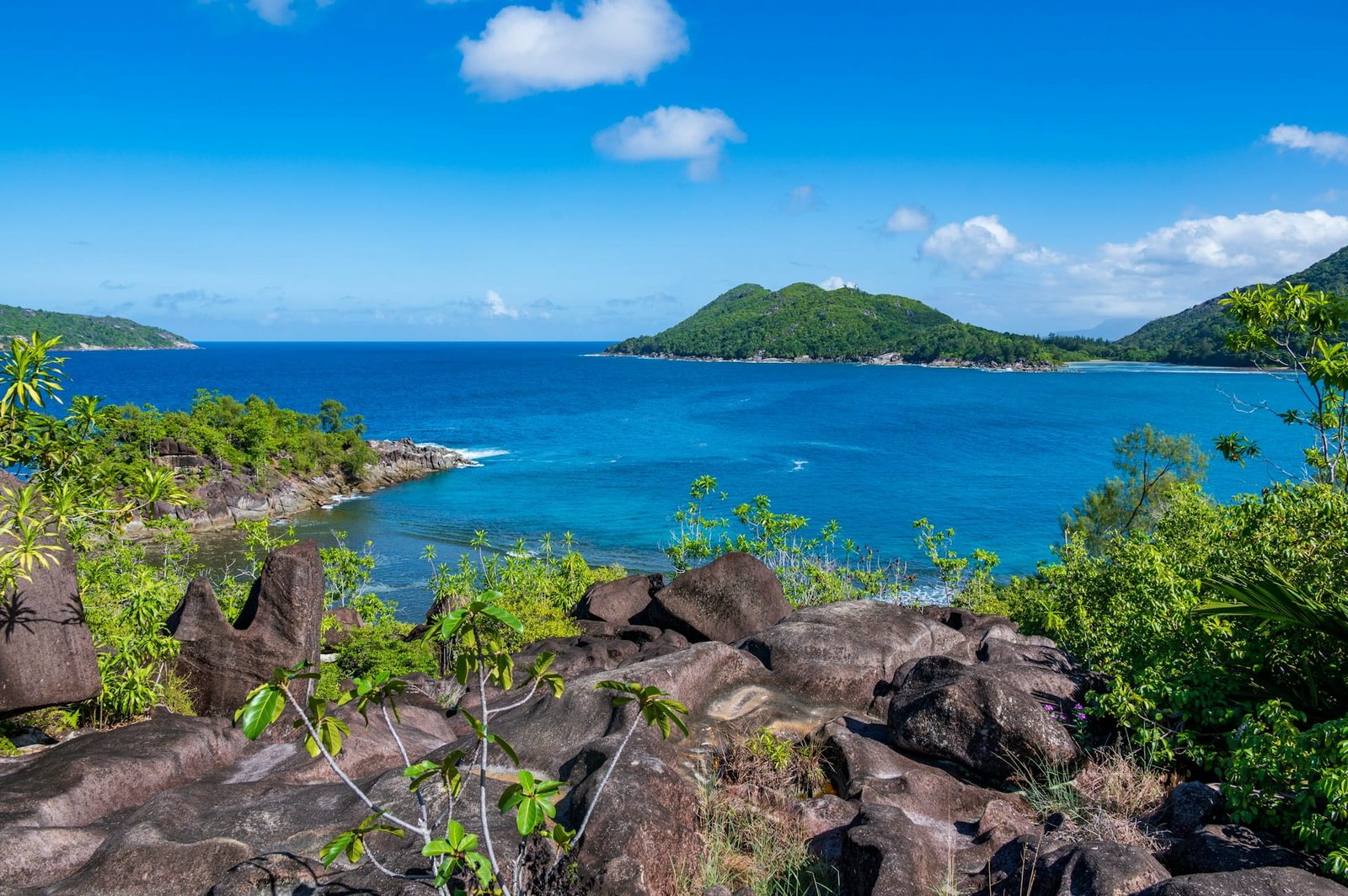 Forested green hills above a granite-fringed bay on Mahé, Seychelles