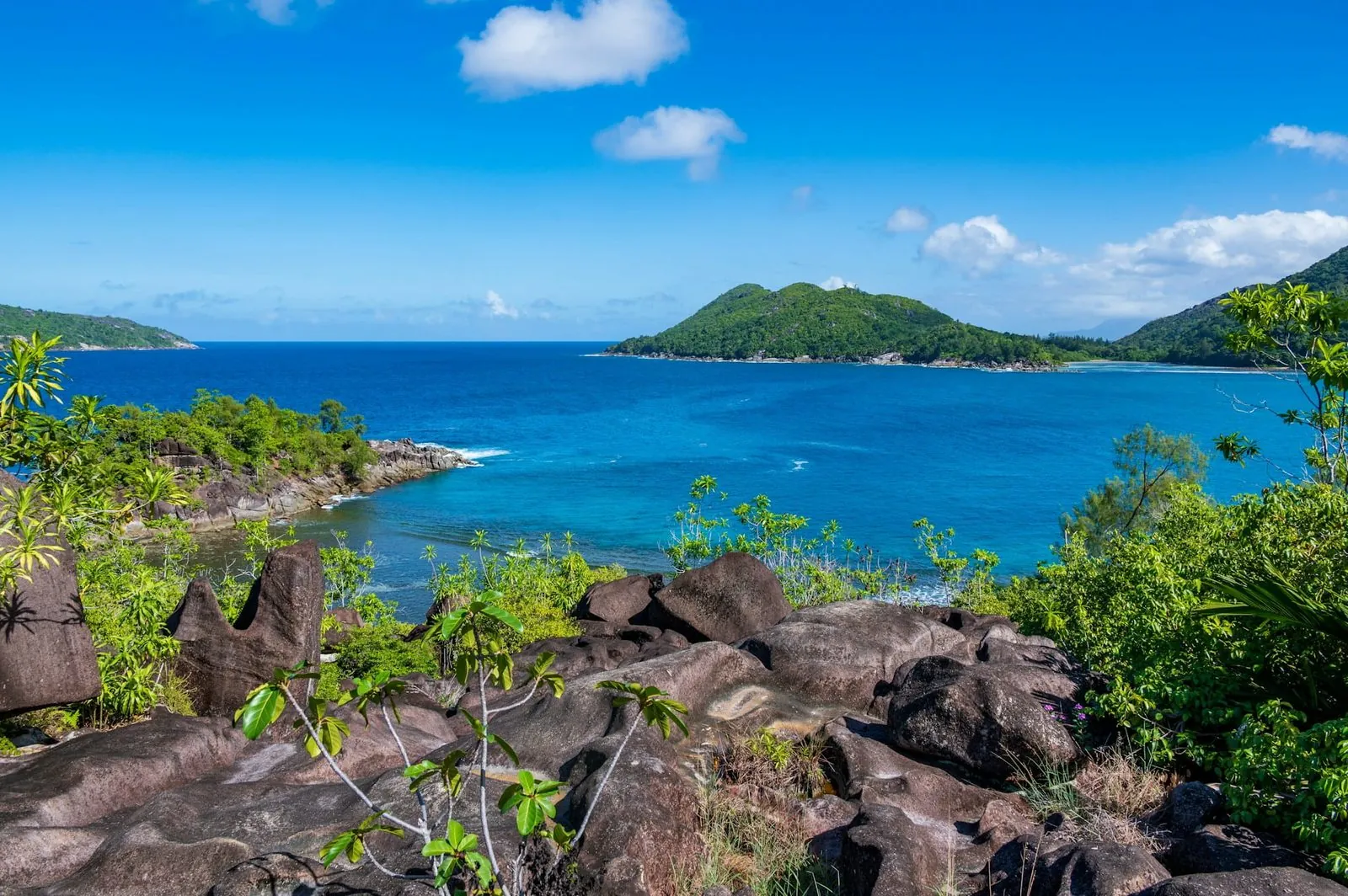 Forested green hills above a granite-fringed bay on Mahé, Seychelles