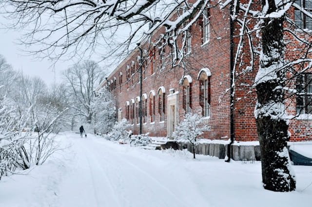 A snowy scene on a multi-centre Lapland and Nordic cities holiday