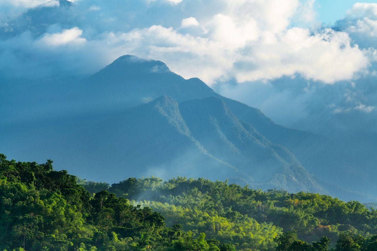 Mist-covered forested mountains rising above tropical rainforest near Port Antonio, eastern Jamaica