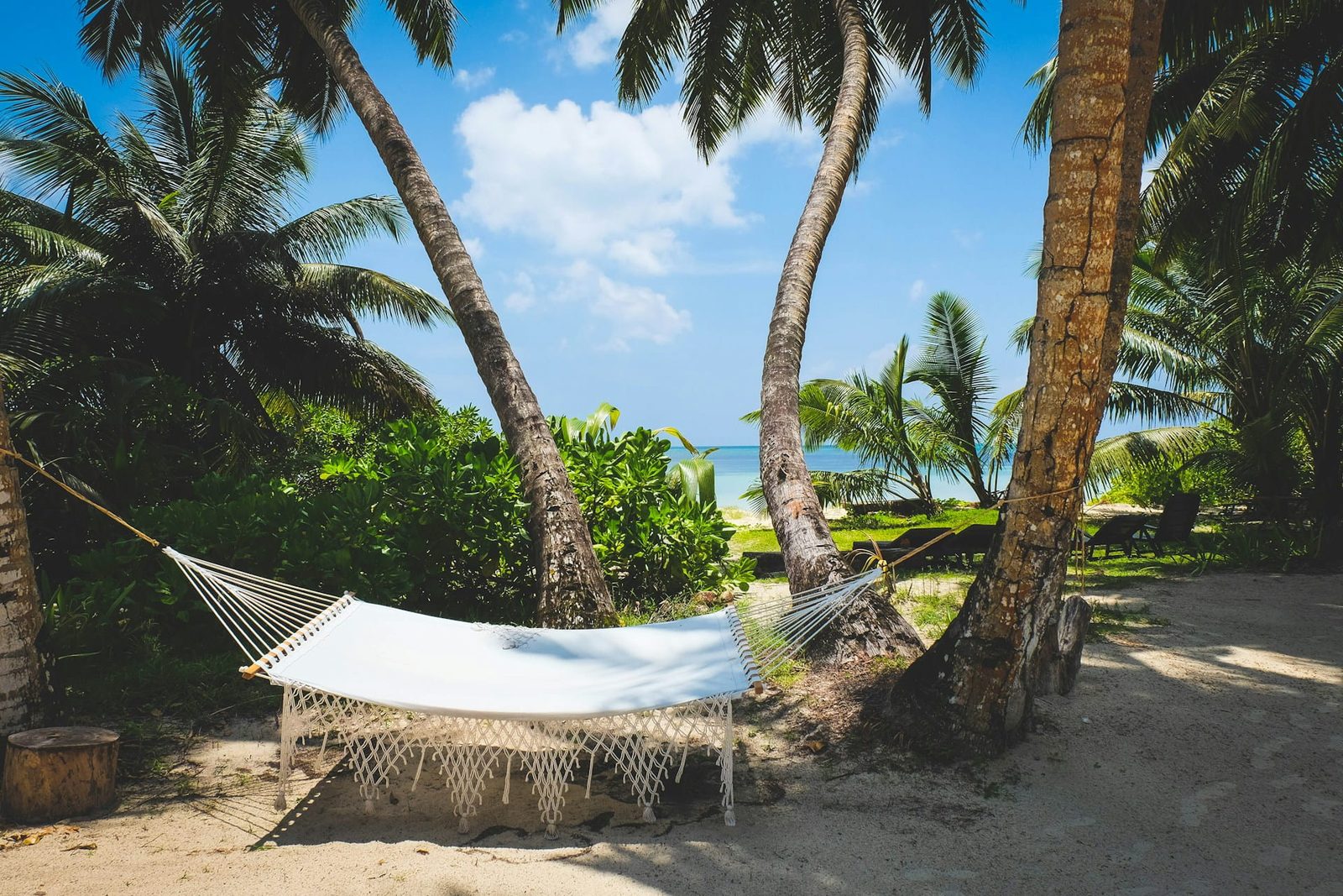 A white hammock strung between palm trees on a sandy beach on Praslin, Seychelles