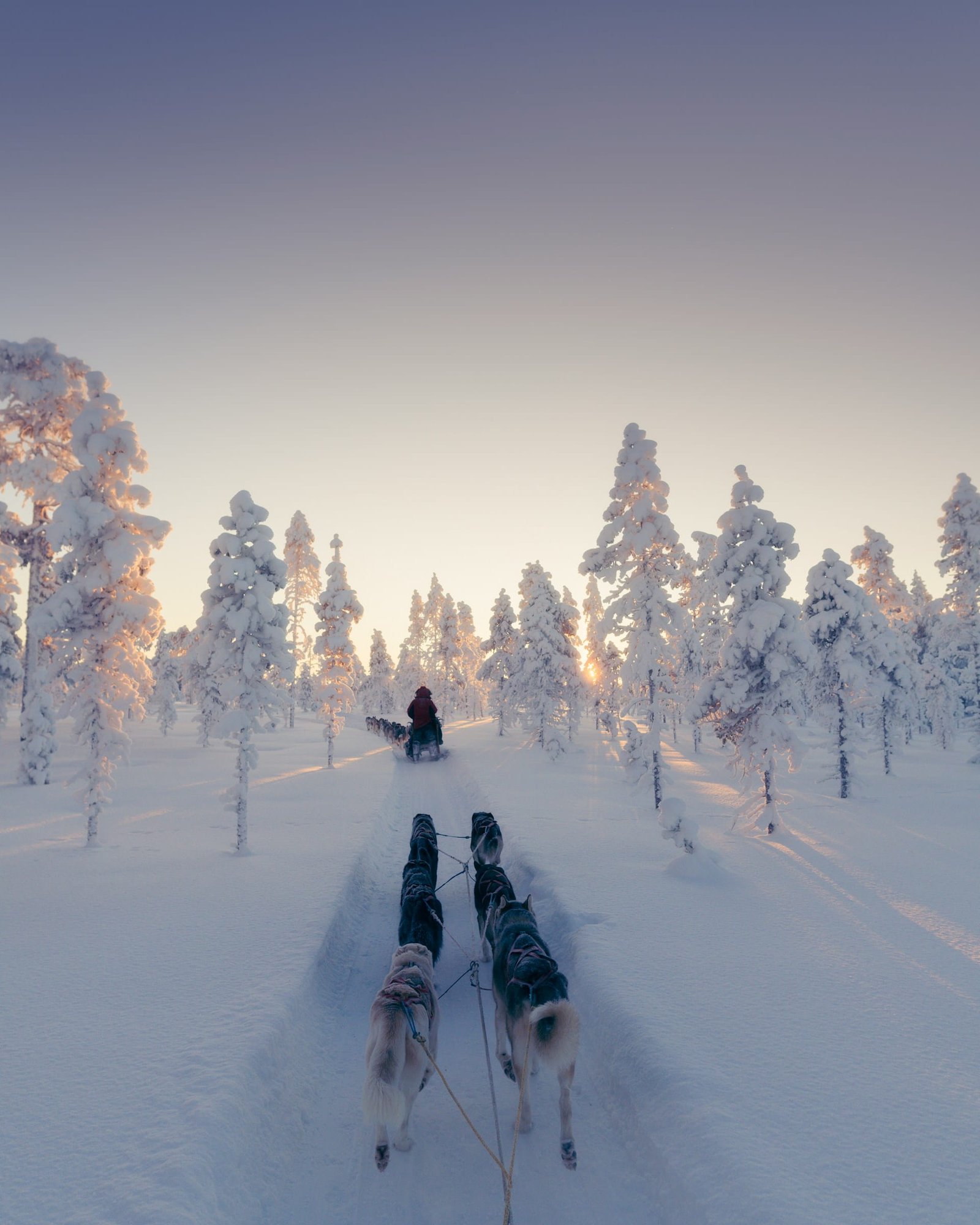 The wilderness landscape of Swedish Lapland