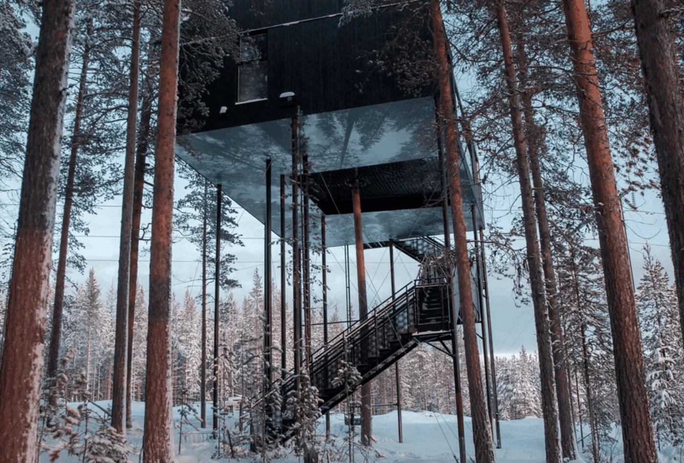 A design treehouse room at Treehotel in Swedish Lapland
