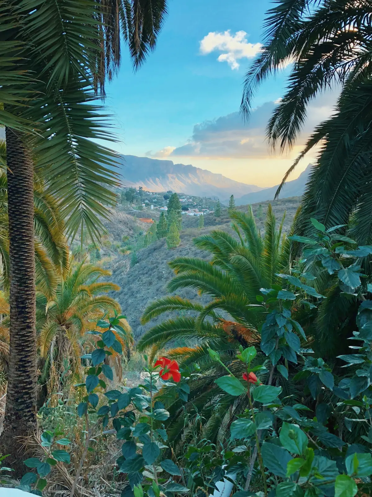 Palms, hibiscus and a mountain village in the volcanic interior of Gran Canaria, Canary Islands