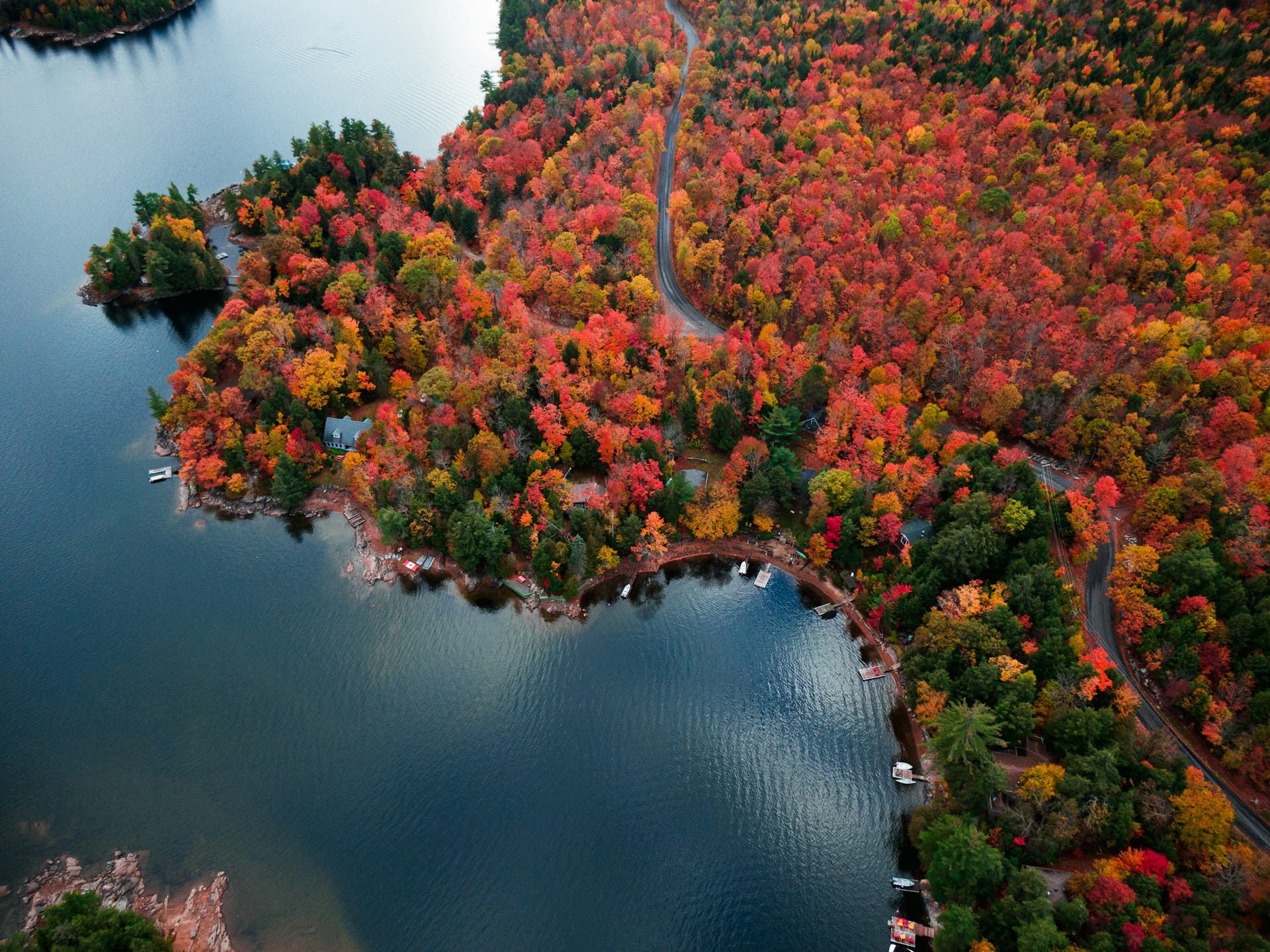 An aerial view of blazing red and orange autumn forest colour around a Canadian lake