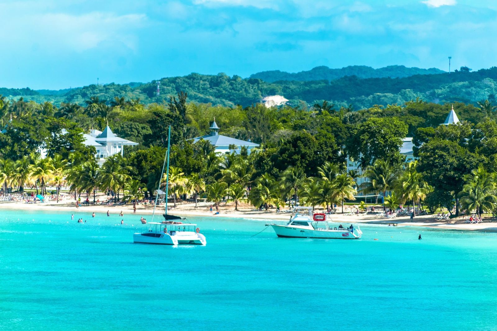 A palm-lined Jamaican beach beside calm Caribbean water, showing the island across the seasons