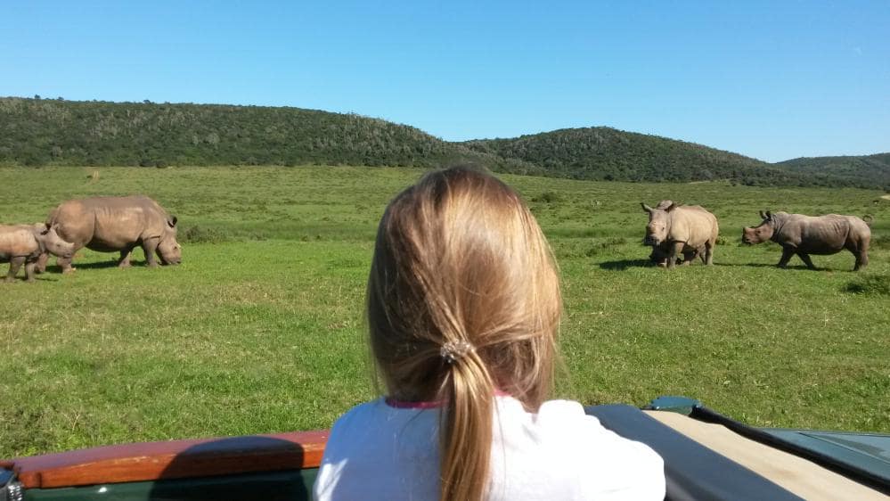 Children enjoying a family safari experience in South Africa