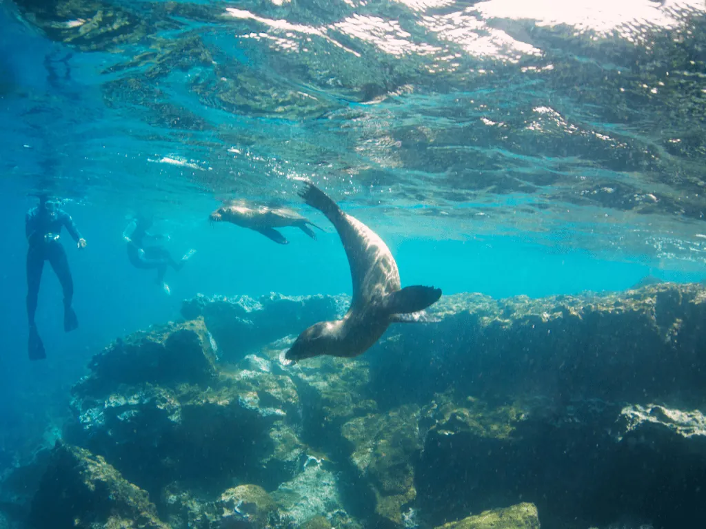 Warm-water expedition cruise destinations