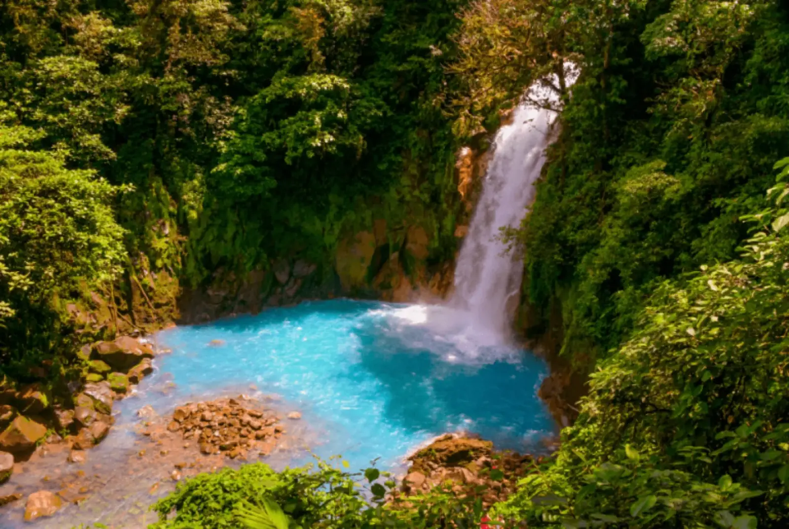 La Fortuna Waterfall surrounded by lush rainforest on adventurous Holidays to Costa Rica with Blue Turtle Escapes