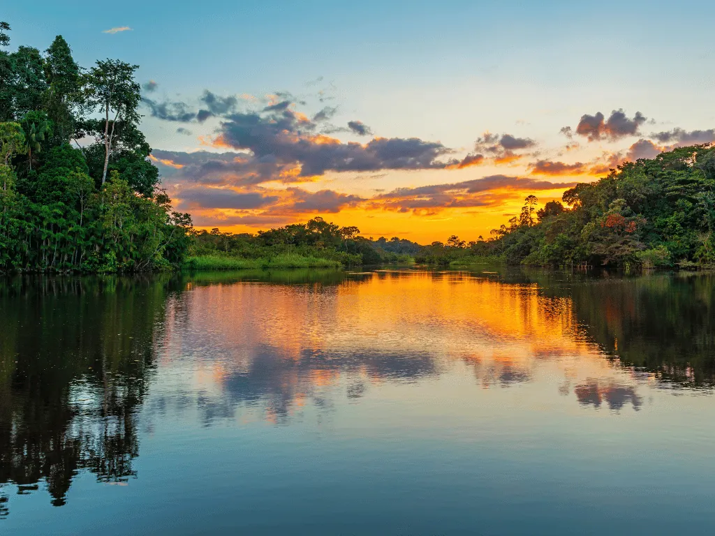 River cruise on the Amazon River