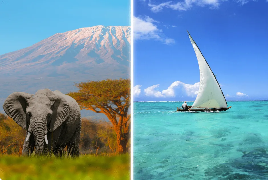 Tanzania Safari and Zanzibar
