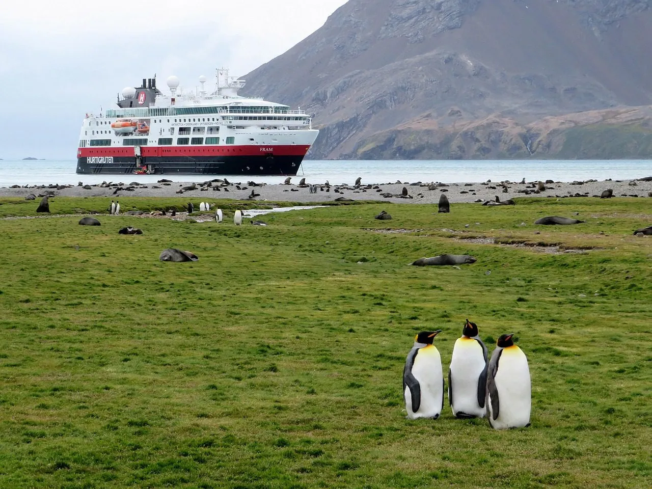 Expedition Cruising