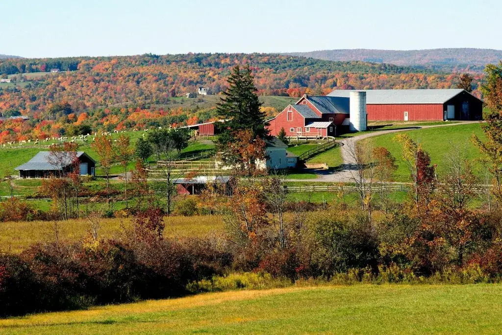 Picturesque fall landscape of a rural farm in New York with vibrant foliage.