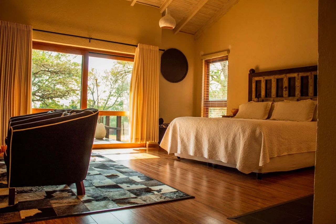 A comfortable lodge suite with a view of the trees on a South Africa safari