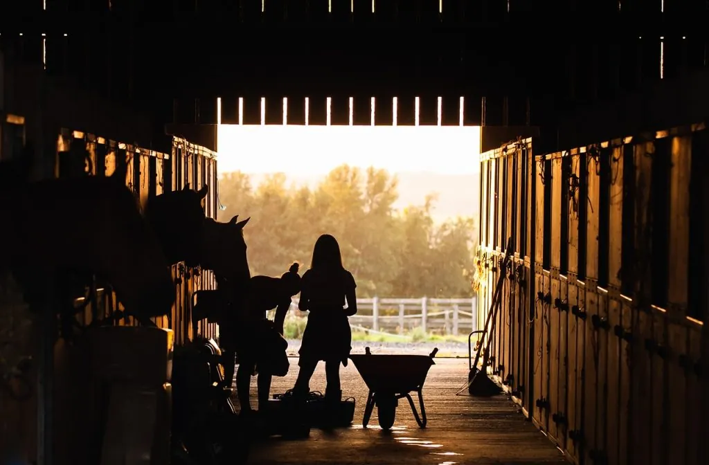 stable, nature, girl, horses, animals, barn, farm, ranch, silhouette