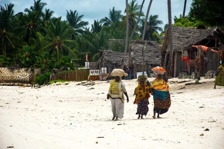 woman, africa, zanzibar, island, nature, women, zanzibar, zanzibar, zanzibar, zanzibar, zanzibar