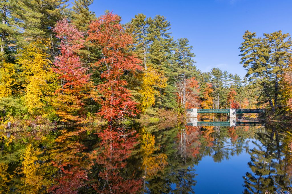A serene autumn landscape with vibrant foliage and a calm river in Concord, NH.